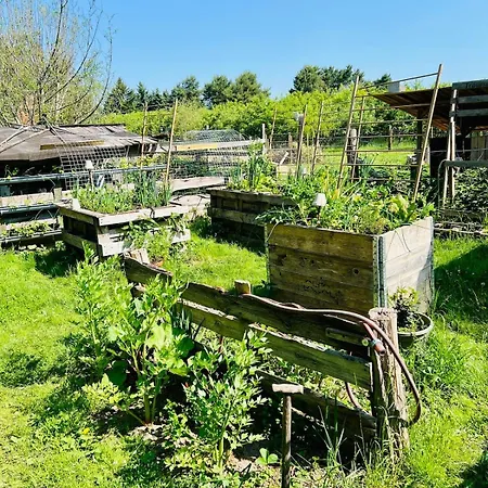 Hofglueck Im Grossen Garten Apartment *