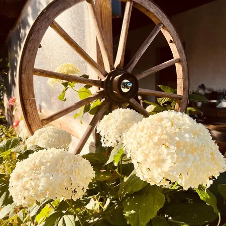 Apartment Hofglueck Im Grossen Garten